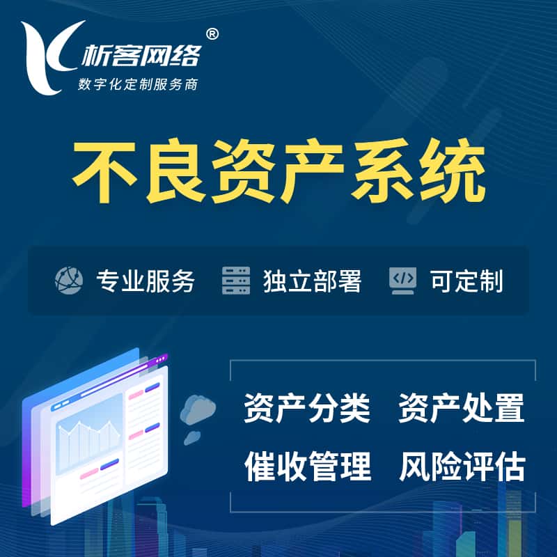 朝阳不良资产管理系统