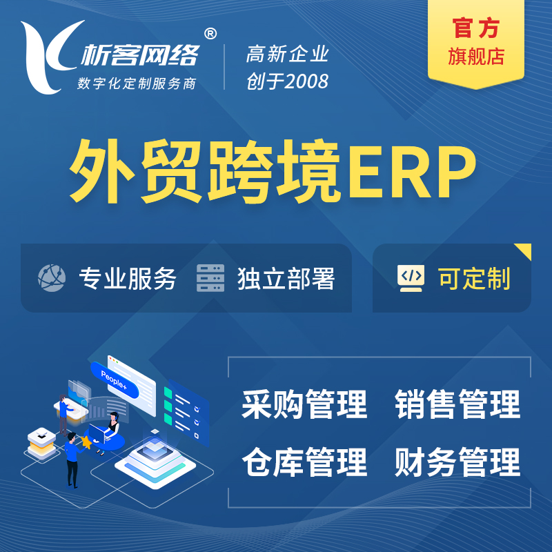 朝阳外贸跨境ERP软件生产海外仓ERP管理系统